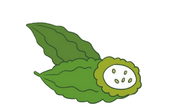分享一组苦瓜简笔画