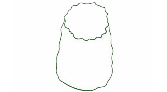 苦瓜简笔画的画法(苦瓜简笔画的画法图片大全)