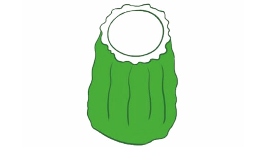 苦瓜简笔画的画法