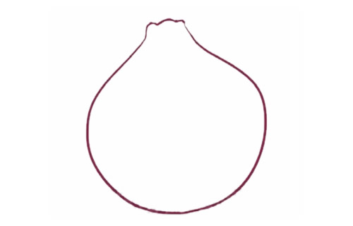 带颜色的洋葱简笔画(洋葱颜色怎么画)