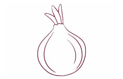 带颜色的洋葱简笔画