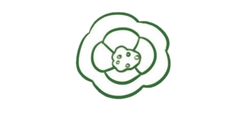 带颜色的青椒简笔画