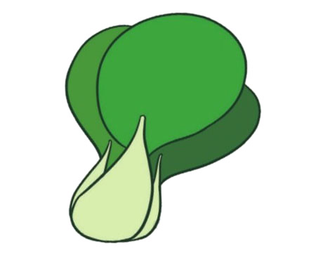 一组油菜简笔画大全(简单又好画的油菜样子)