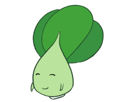 一组油菜简笔画大全