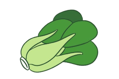 一组油菜简笔画大全