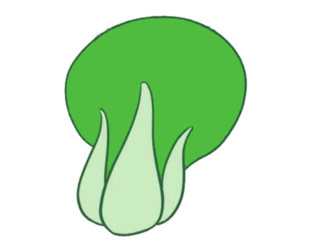 一组油菜简笔画大全