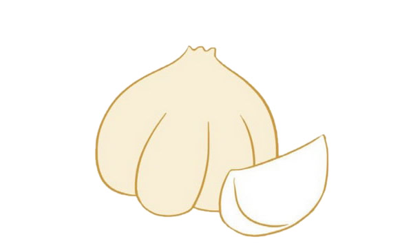 大蒜简笔画图片大全