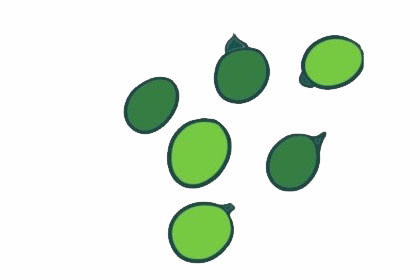 一组豌豆简笔画图片大全(豌豆简笔画图片大全集)