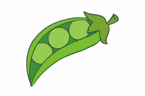 绿色的豌豆简笔画步骤