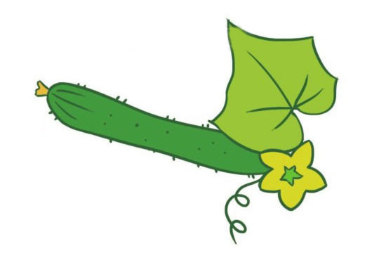 一组黄瓜简笔画图片大全