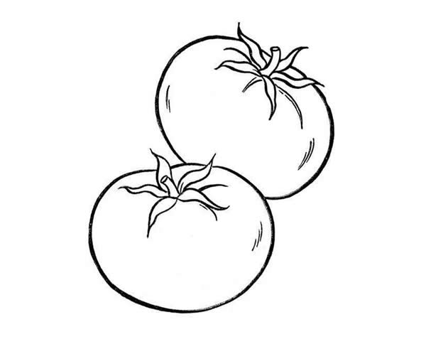 两个西红柿简笔画(两个西红柿简笔画图片大全)