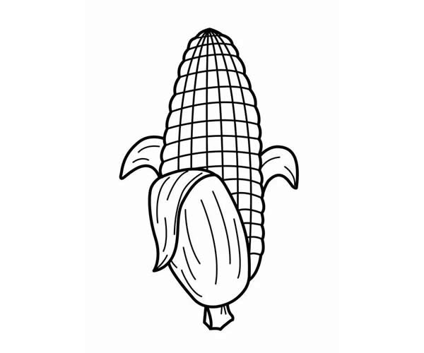 简单的玉米儿童画(儿童简笔画玉米的画法)