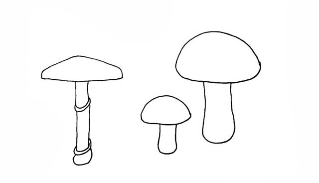 带颜色的蘑菇简笔画