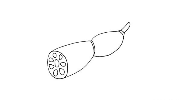 漂亮的莲藕简笔画