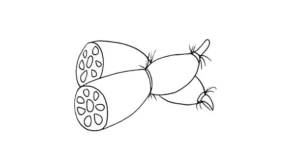 漂亮的莲藕简笔画