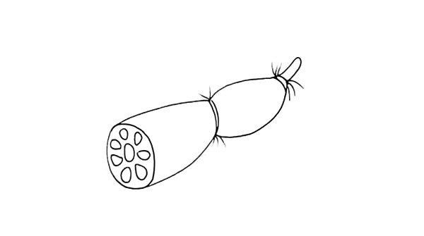 漂亮的莲藕简笔画
