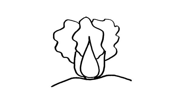 卡通大白菜简笔画步骤
