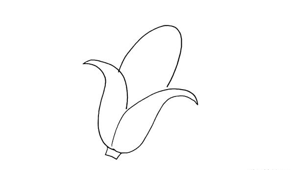 卡通玉米简笔画步骤
