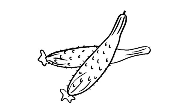 两根黄瓜简笔画步骤