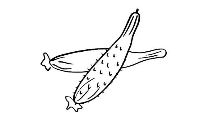 两根黄瓜简笔画步骤