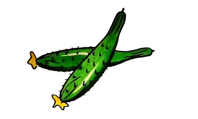 两根黄瓜简笔画步骤