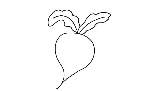 一步步教你画好看的萝卜