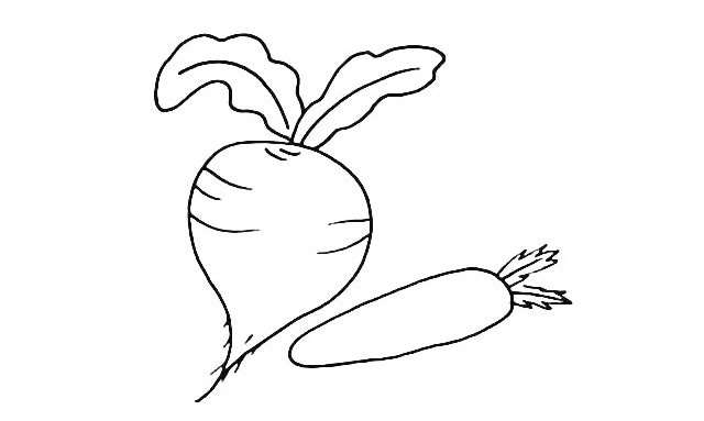 一步步教你画好看的萝卜