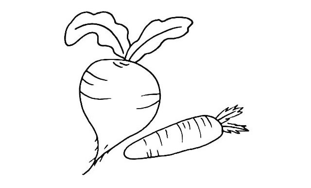 一步步教你画好看的萝卜