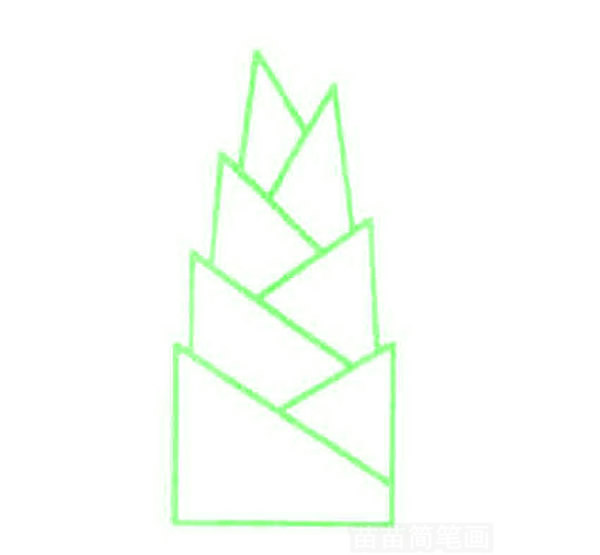 一步一步教你画竹笋