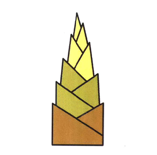 一步一步教你画竹笋