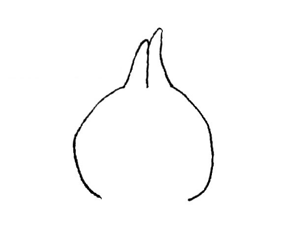 卡通洋葱儿童简笔画