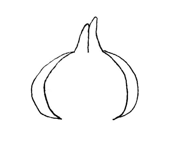 卡通洋葱儿童简笔画
