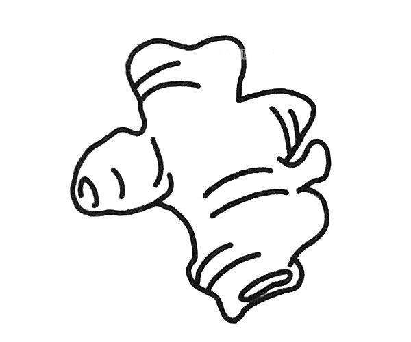 6款生姜儿童简笔画