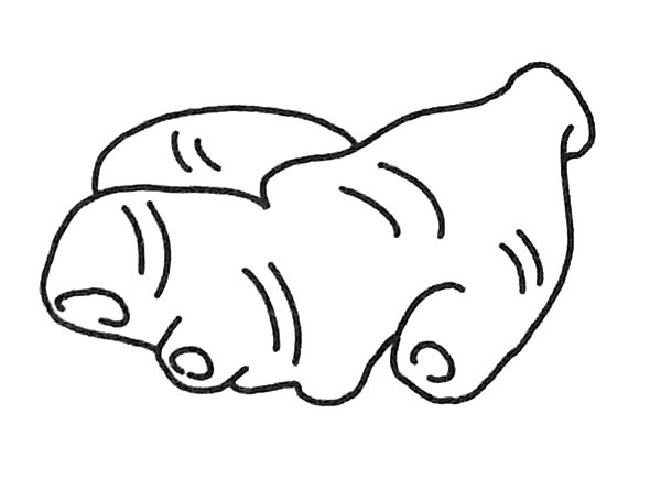 6款生姜儿童简笔画