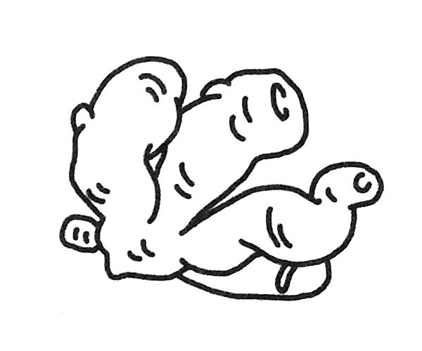 6款生姜儿童简笔画