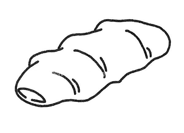 6款生姜儿童简笔画