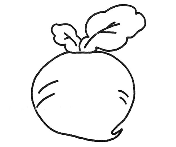 四款萝卜儿童简笔画