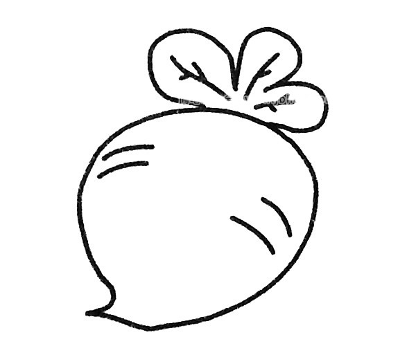 四款萝卜儿童简笔画