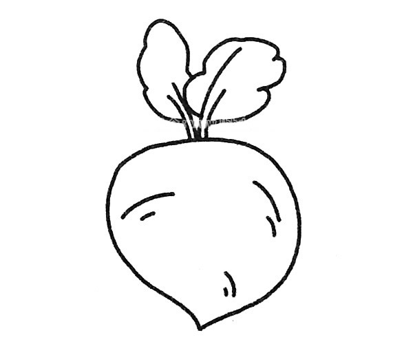 四款萝卜儿童简笔画