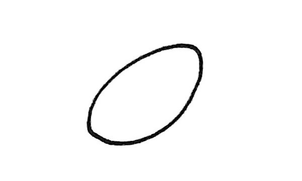 四步教你学会画莲藕(如何画莲花的步骤图解)