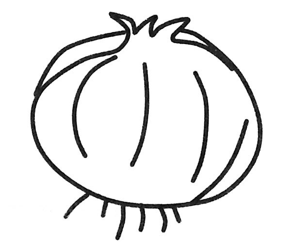 5款洋葱儿童简笔画(洋葱简笔画简笔画)