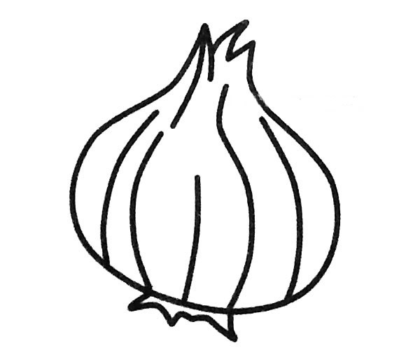 5款洋葱儿童简笔画