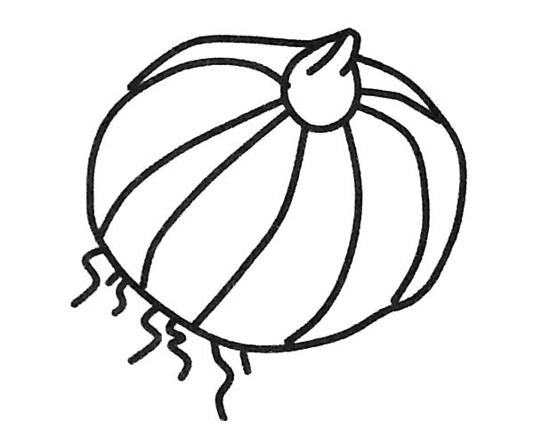 5款洋葱儿童简笔画