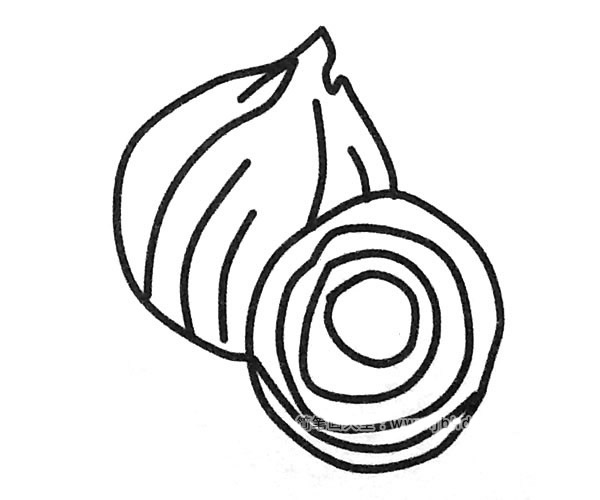 5款洋葱儿童简笔画