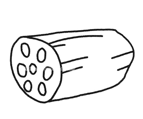 6张莲藕简笔画图片大全