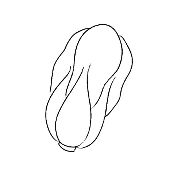 五种不同的白菜简笔画