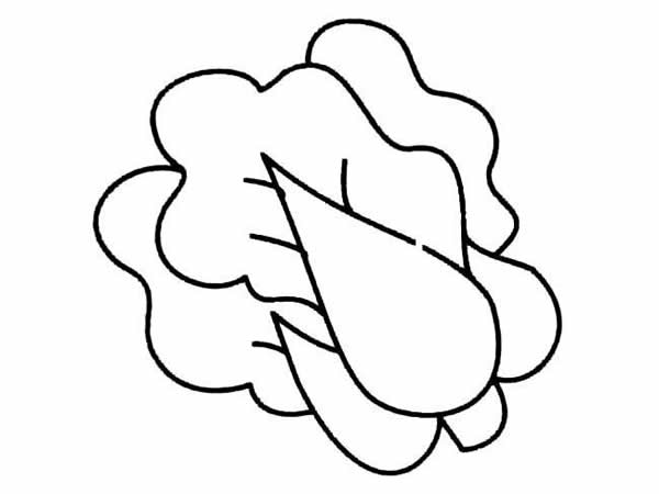 五种不同的白菜简笔画