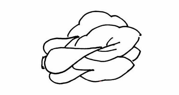 五种不同的白菜简笔画