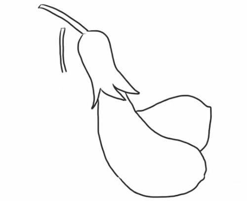 茄子简笔画步骤教程