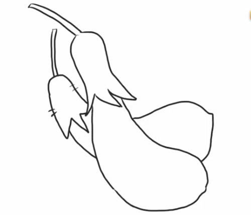 茄子简笔画步骤教程